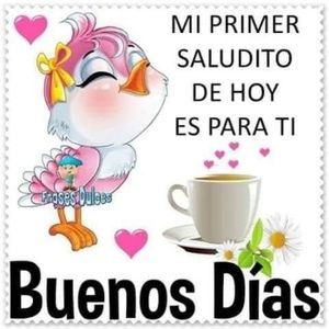 Meet your Posher, Anibal